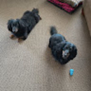 Meet your Posher, Denise